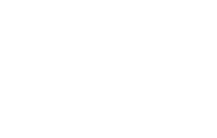 CLUB 411